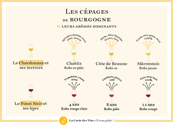 cépages-aromes-bourgogne