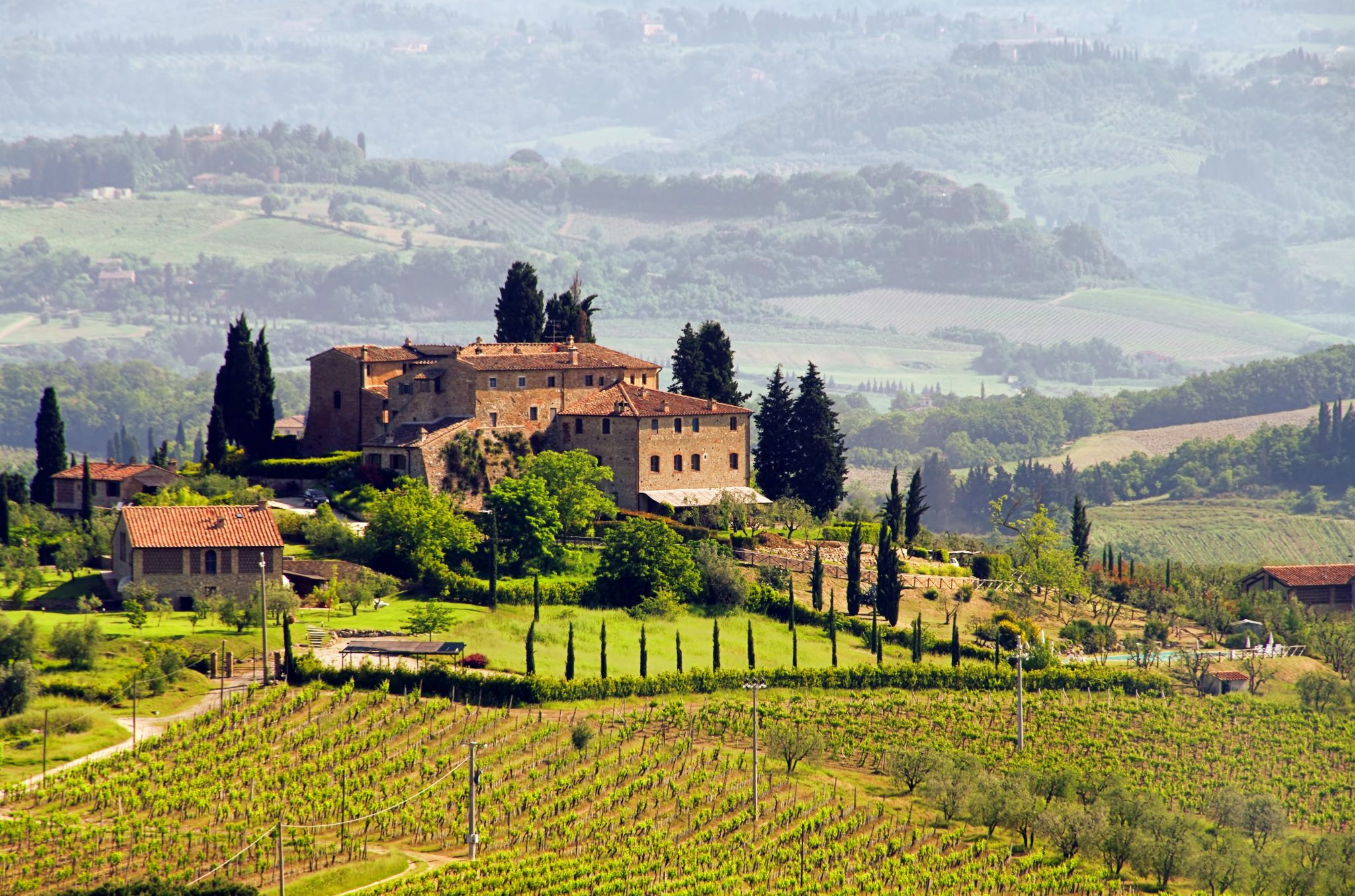 Les vins italiens | La Carte des Vins s'il vous plaît