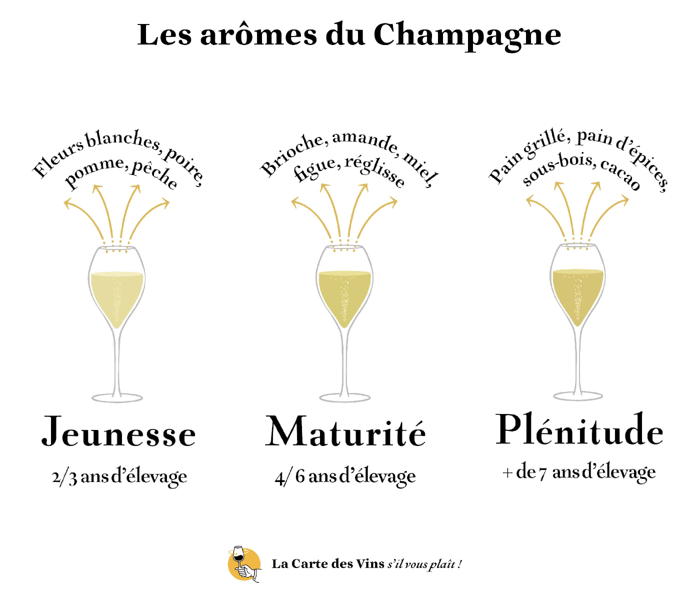 arômes vin champagne
